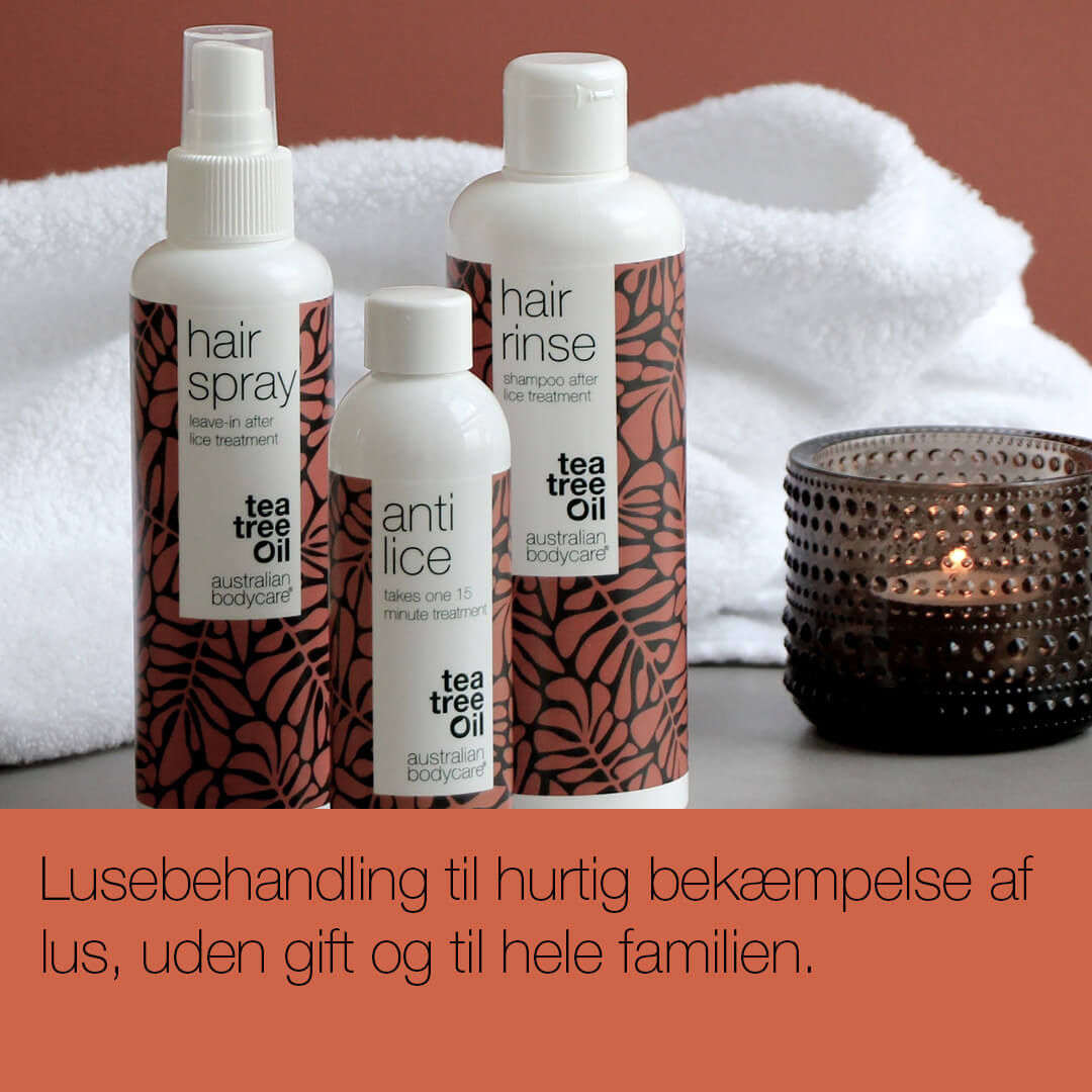 Lusebehandling med Tea Tree Oil — 3 produkter til hurtig bekæmpelse af lus