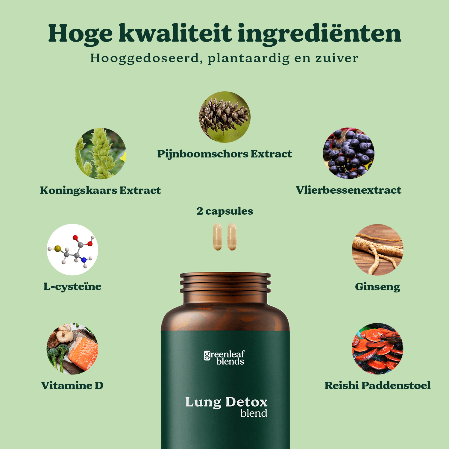 lung-detox-blend_1.png Lung Detox blend