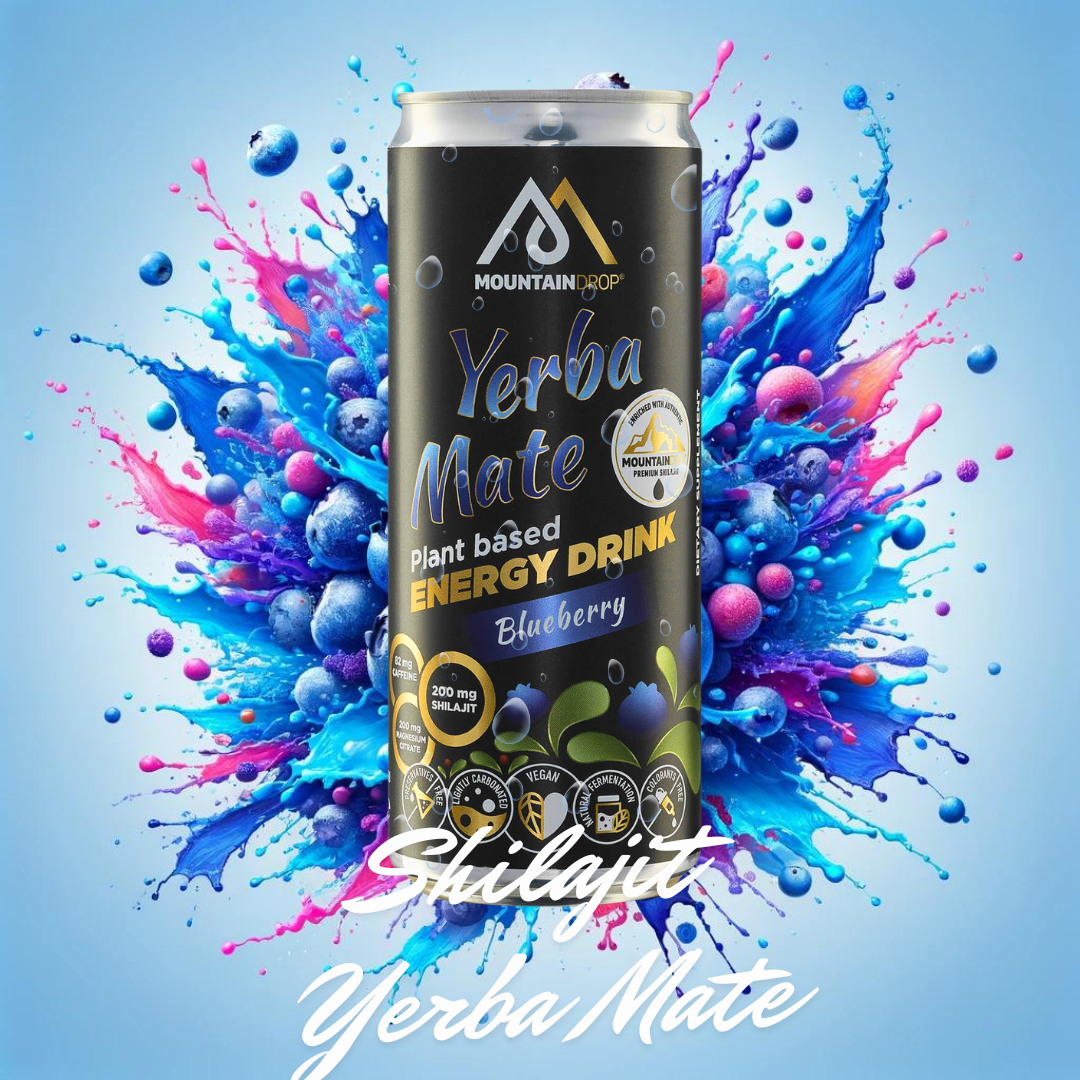 Shilajit & Yerba Mate Energidrik - Blueberry Blast