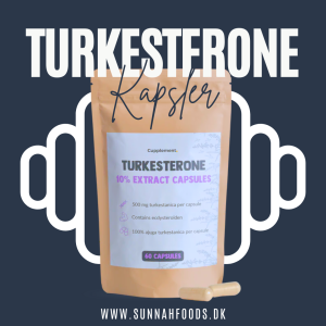 Turkesterone - 60 Kapsler Online nu