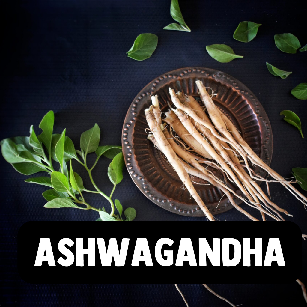 Ashwagandha KSM-66 Kapsler
