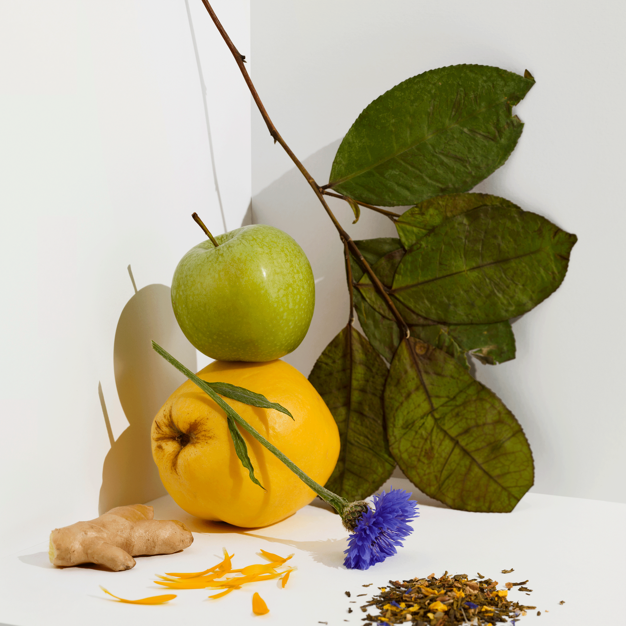 Green Quince tedåse - Cocoon Tea Artisans