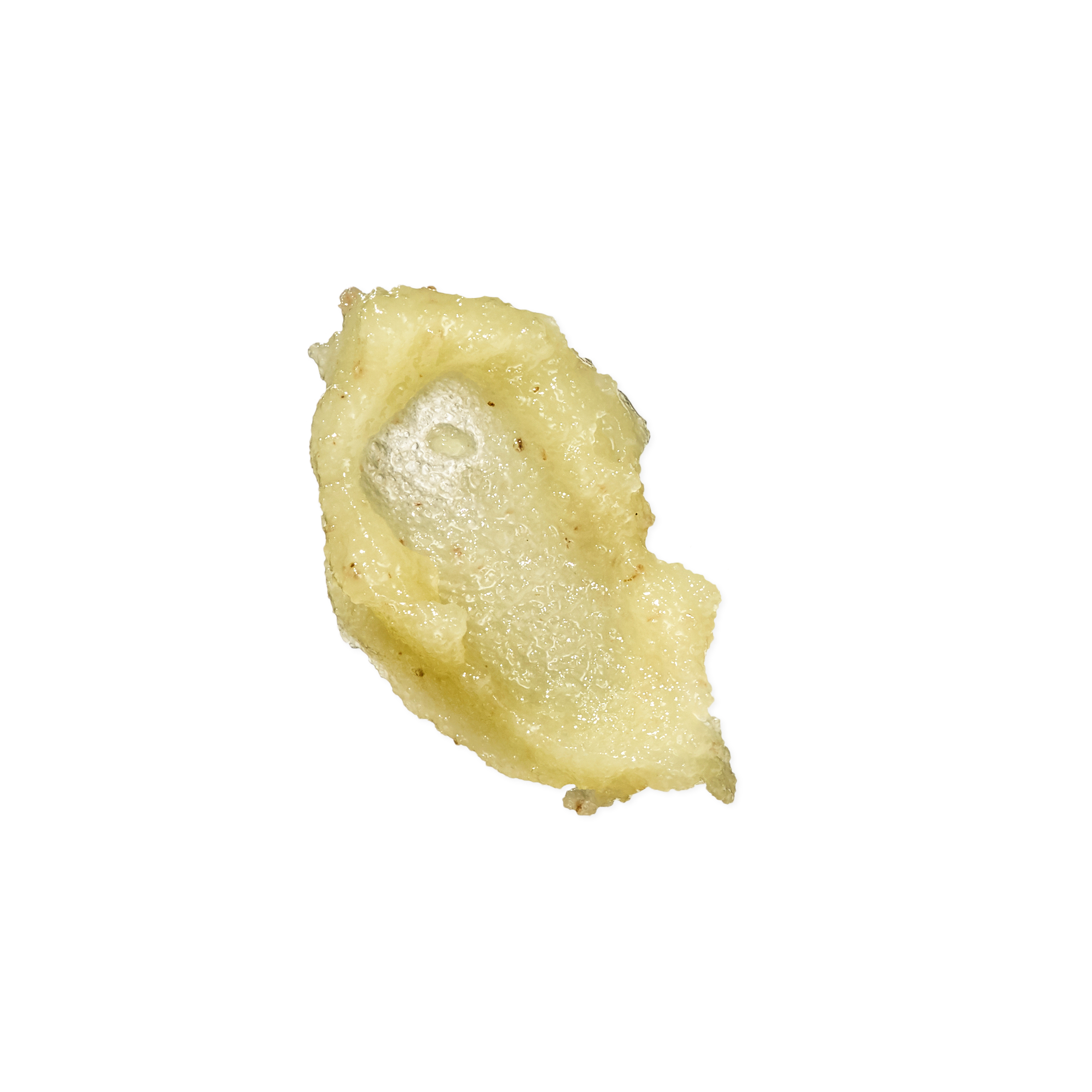 MORE salt body scrub