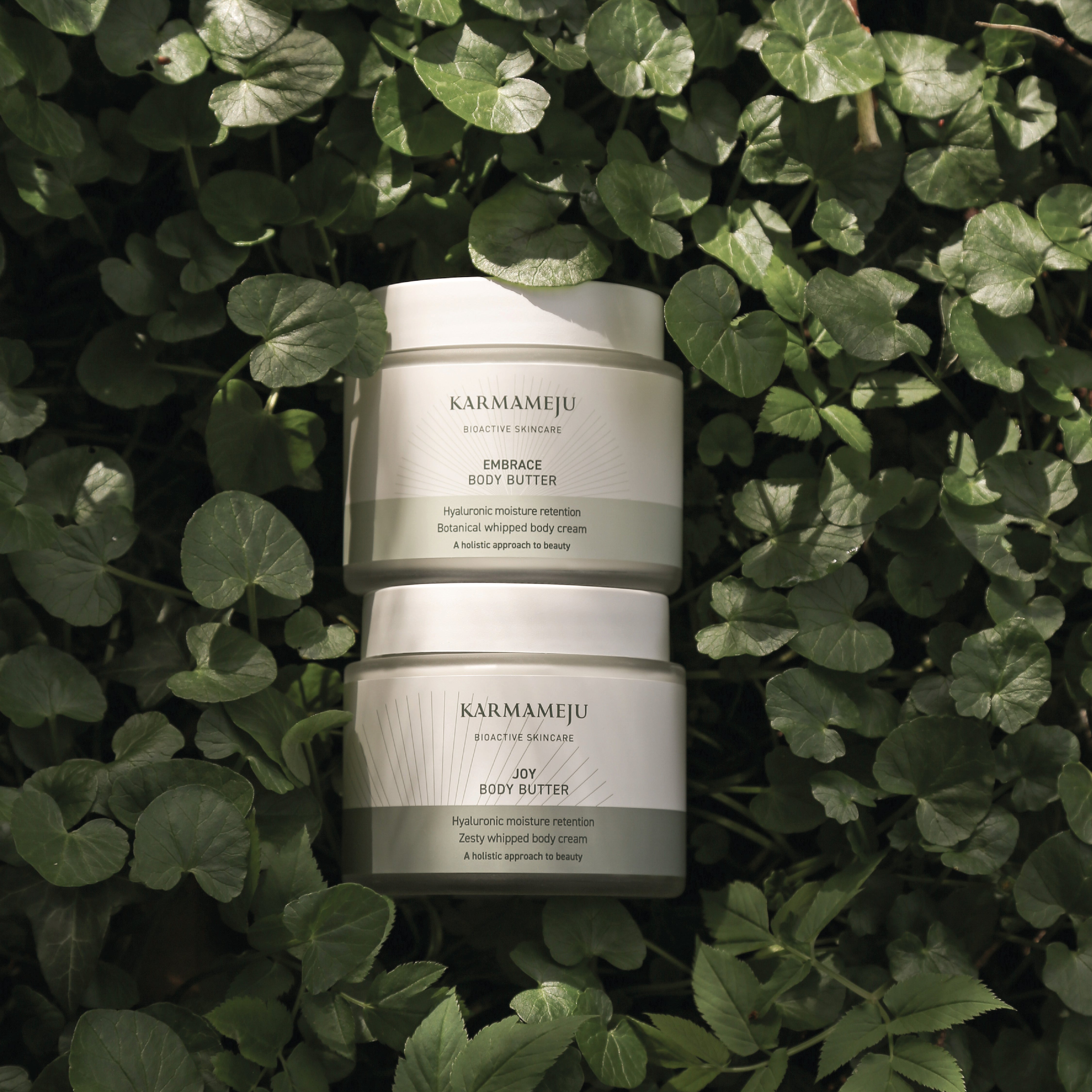 EMBRACE body butter