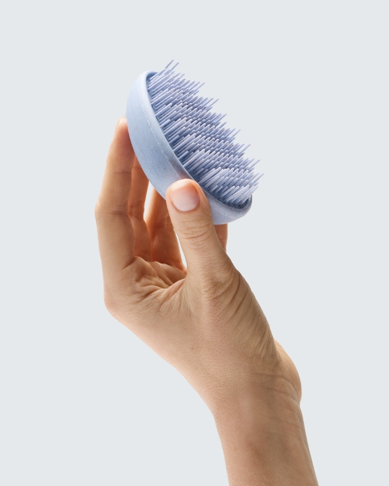 Wet Hair Detangler Brush, Blurple